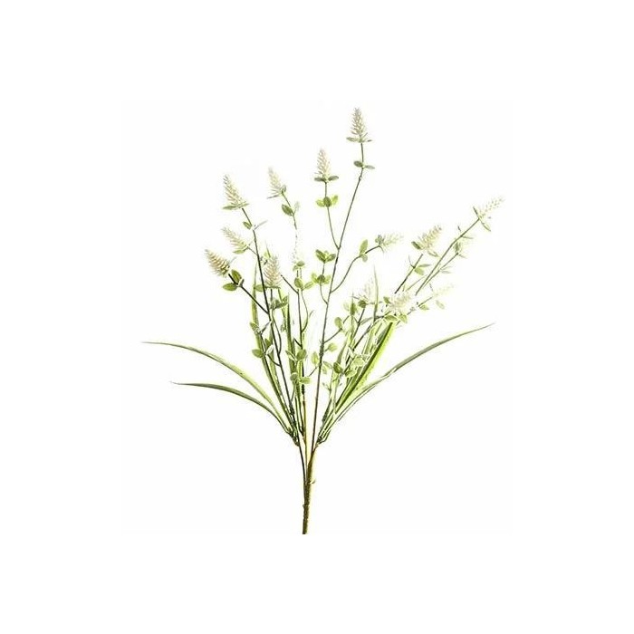 BUSH CLOVER FIORITO WHITE CM42